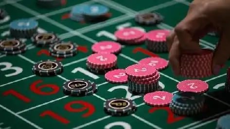 55bet cassino