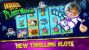 55bet cassino